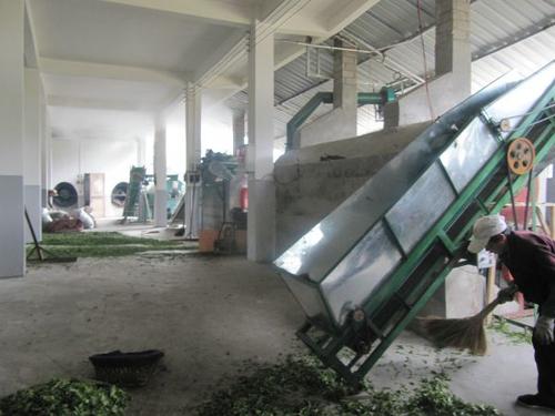 制藥行業(yè)中制藥公司是吸收利用了茶葉包裝機(jī)的哪些特點